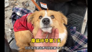 摩旅环华第7天视频，收养🐶可乐第151天。#带着狗狗去旅行