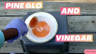 Can You Mix Pine Sol And Vinegar? Watch This