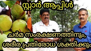 നിത്യ യവ്വനം നിലനിർത്താൻ സ്റ്റാർ ആപ്പിൾ കഴിക്കൂ. #starapple #apple #star