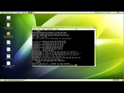 renew ip address on linux renew ip address on linux