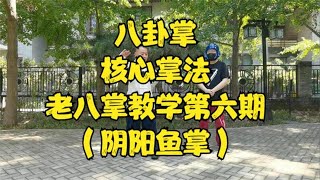 【八卦掌】老八掌教学第六期——阴阳鱼掌！