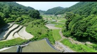 広島県東広島市安芸津町、木谷地区の棚田を空撮しました