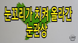 눈꼬리가 치켜 올라간 눈관상