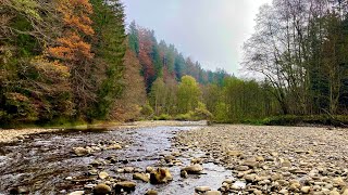 Cozy Switzerland Nature yoga,einschlafen,meditation