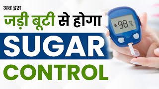 अब इस जड़ी बूटी से होगा Sugar Control