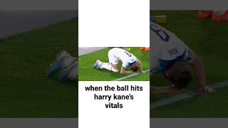 when the ball hits harry kane's vitals