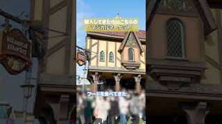 【ディズニーランド】公式の店舗メニューにない大人気すぎて即完売のフード食べてきた