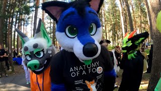 Фурри на #FairyFestival 7 | Furrymove