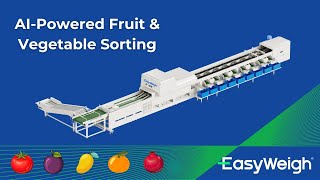 Easyweigh AI-Powered Fruit & Vegetable Sorting Machine | Smart Fruit Processing & Automation