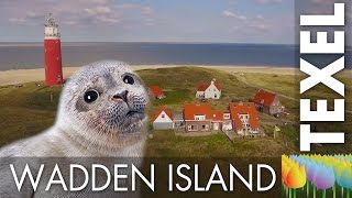 The beautiful Wadden island of Texel - Holland Holiday