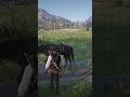 mr. morgan helped the blind man. rdr2 youtubeshorts shorts