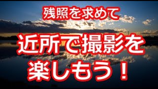 残照を求めて近所で撮影を楽しもう