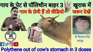 Polythene out of cow's stomach in 3 doses | गाय के पेट से पॉलिथीन बाहर 3 खुराक में | cow lover #गाय