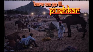 Here we go !! Pushkar Camel fair เทศกาลอูฐ เมืองพุชการ์ อินเดีย