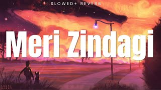 Meri Zindagi Hai Tu (Slowed + Reverb) -  Deejay Mayur Mumbai #merizindagihaitu  #slowedandreverb