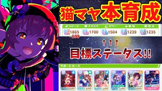 【リーグオブヒーローズ】LOH猫マヤノトップガン本育成タイム！！！【ウマ娘】