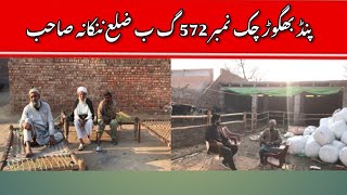 Historical village PiND Baghoor chak no 572 gb Nankana Sahib pakistan | sardaran Da pind