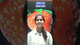 असत्य फल (False Fruit) किसे कहते है ? 🤔🔥🔥 #shorts #shalinimaam #biology #sciencedeewanevidyakul