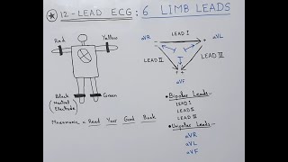 ECG Basics - 12-Lead ECG | Leads and Electrodes | Limb and Chest (Precordial) Leads