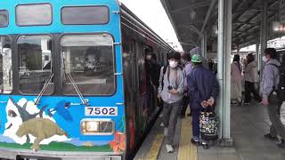 秩父鉄道7500系 7502編成（秩父ジオパークトレイン）運転士（車掌）操作・寄居発車