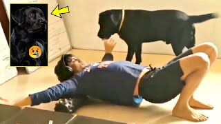 Sushant Singh Rajput Dog Fudge Unseen videos Will Melt Your Heart right away | bollywood heartbroken