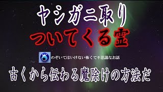 【ヤシガニ取り】見える人ってけっこういるもんですね。釣りの師匠が体験したちょっとタチが悪い部類の輩の話です★のぞいてはいけない怖くて不思議なお話★