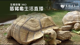 萬鈞匯知中學生態360線上大揭密- 盾臂龜生活直播