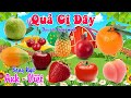 Quả Gì Đây - Dạy Bé Nhận Biết Các Loại Hoa Quả Trái Cây - Song Ngữ Anh Việt