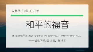 2月9日《灵命日粮》文章视频-和平的福音