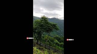 Nature Beauty of Vagamon /വാഗമണിന്റെ പ്രകൃതി ഭംഗി