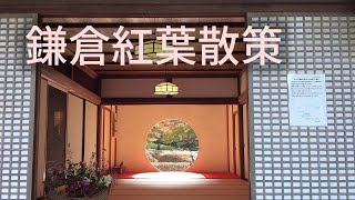 鎌倉紅葉散策2021