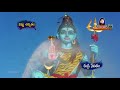 lord shiva excellent song shivam parama shivam siddhaguru