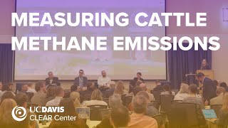 Measuring and Reducing Methane Emissions from Cattle