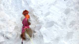 今年初の雪遊び。