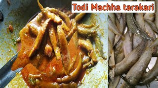 Todi machha tarakari l Small Eel fish recipe I Odia Fish curry recipe I Kalinga culinary