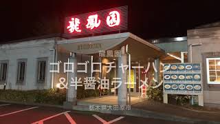 龍鳳園（栃木県大田原市）ゴロゴロチャーハン＆半醤油ラーメン