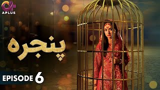 Pakistani Drama | Pinjra - Episode 6 | Aplus Gold | Yumna Zaidi, Nauman Aijaz | CZ1O