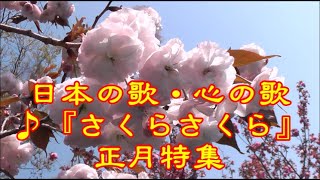 ♪『さくらさくら』日本の歌・心の歌　正月特集　うた：緑咲香澄