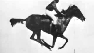The horse in motion (Eadweard Muybridge) 1878 First Film Ever