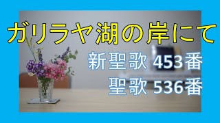 【賛美】ガリラヤ湖の岸にて（新聖歌453番、聖歌536番）【歌詞付き】