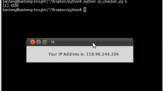 IP Address Checker - Simple GUI Apps using Python and Tkinter