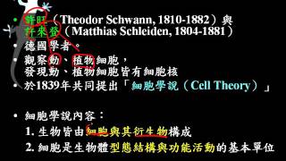 基礎生物1 2 02許旺、許來登與細胞學說一博