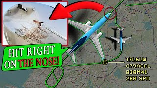 TUI Netherlands | MULTIPLE BIRD STRIKES ON THE NOSE | Emergency Return to Schiphol