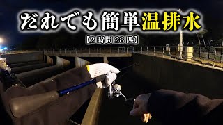 【愛知県】碧南の温排水スポットが最強すぎ。