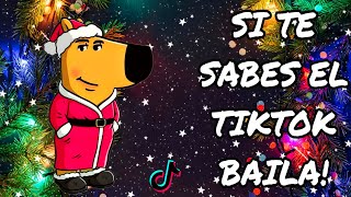 SI TE SABES EL TIKTOK BAILA! - 2024