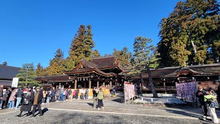 初詣・多賀大社