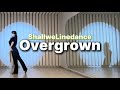 [전곡영상] Overgrown (WDM25) Linedance (Demo) / Intermediate Level / Fred Whitehouse / 오버그로운라인댄스 / 중급