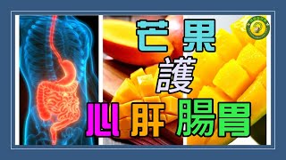 【心 肝 胃 健康】芒果：護心、肝 與腸胃健康的理想水果！|腸 胃 炎 |肝 硬 化 |心臟 的保護|好心肝˙好健康