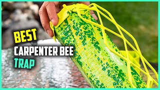 Top 4 Best Carpenter Bee Trap [Review] - Carpenter Bee Trap Natural Wood [2023]