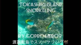 Gopro Hero9 Tokashiki island snorkeling🐠